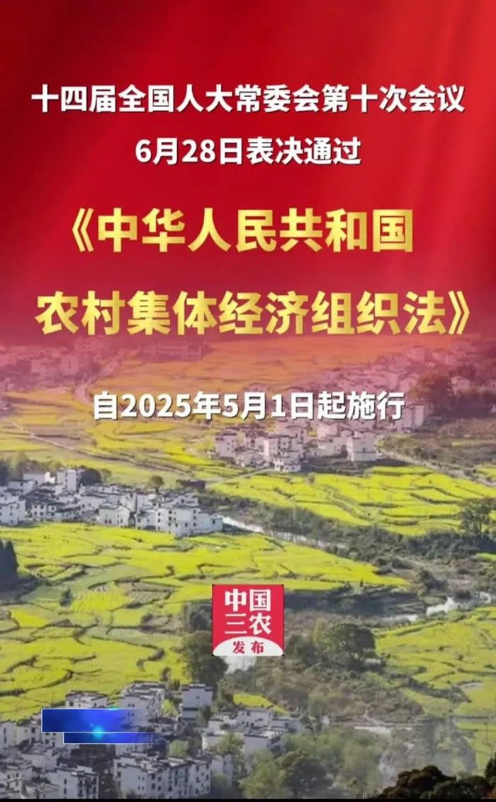 集体经济组织成员行使查阅、复制权是否具有限制?