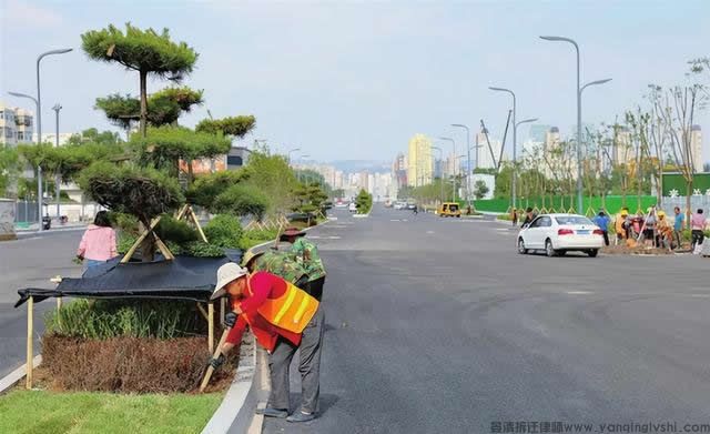 修建公路要占地与城市绿化改造征地补偿占比分析