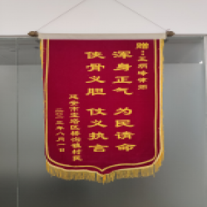 浑身正气 为民请命 侠骨义胆 仗义执言