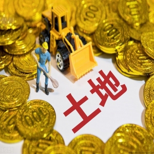 无征地手续作出的安置补偿方案批复违法！