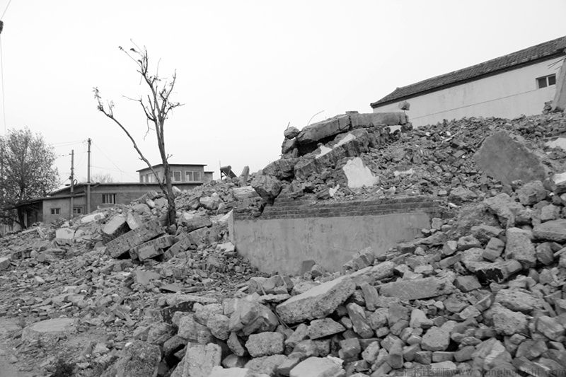 胜诉公告:拟征地公告发布后却称安置补偿方案不存在?撤销